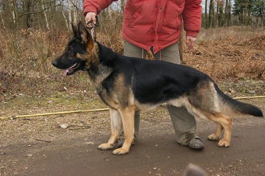 Hisaie Du briska